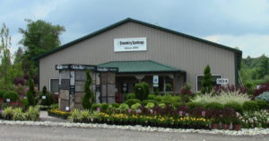 Country Springs Wholesale Nursery - Bulk Plant Buying