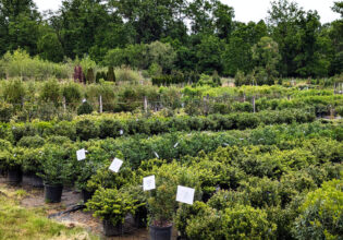 In Stock 6-1-25