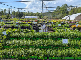 In Stock 5-5-25