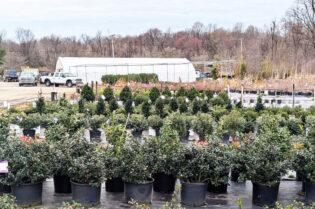 In Stock 4-7-25