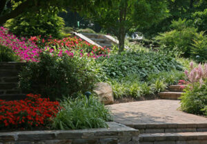 Shade Garden