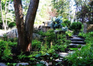 Shade Garden Favorites