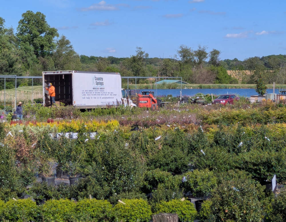 Plant handling
