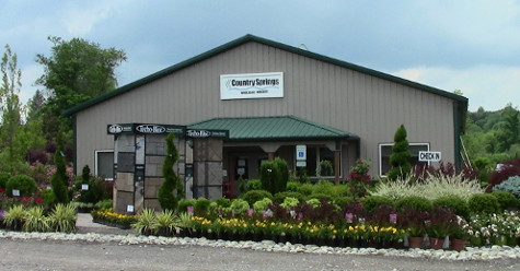 CSWN Front