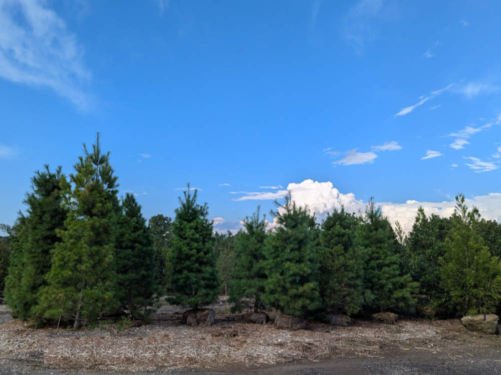 Extend Planting Season